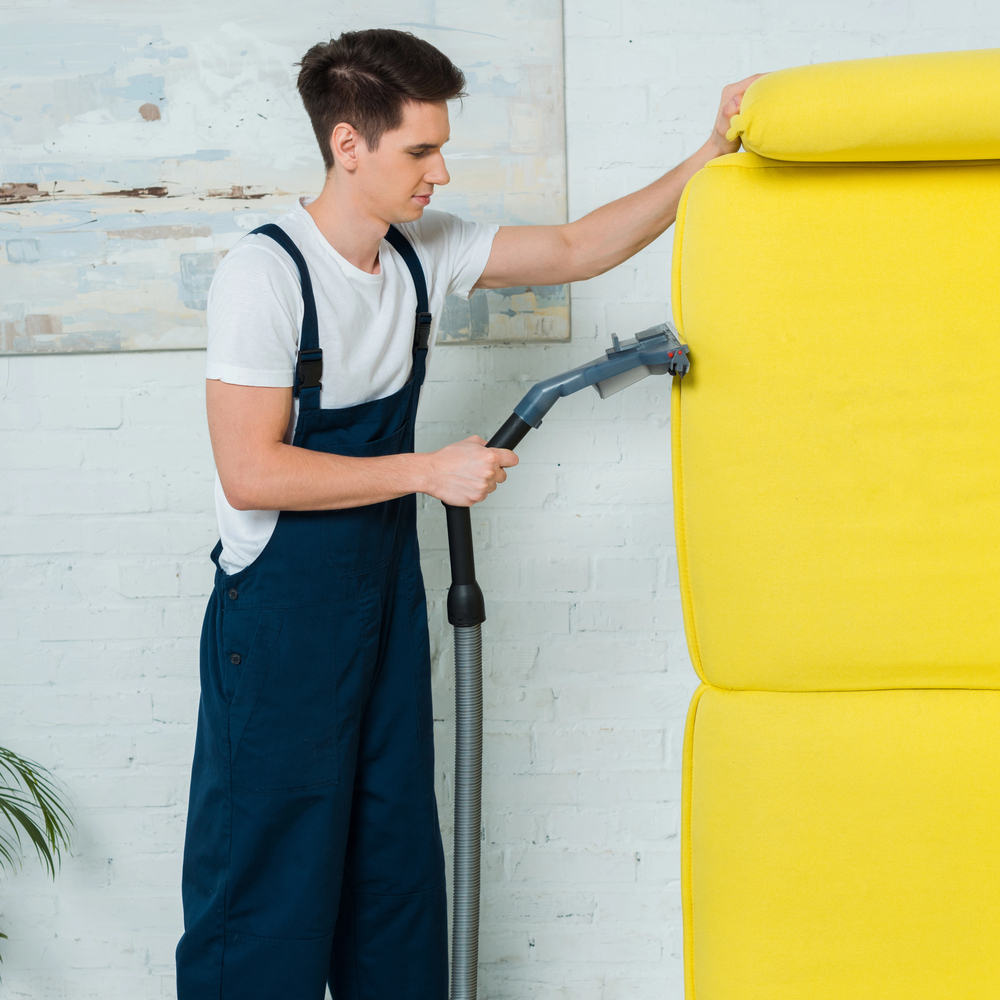 Professional carpet cleaning